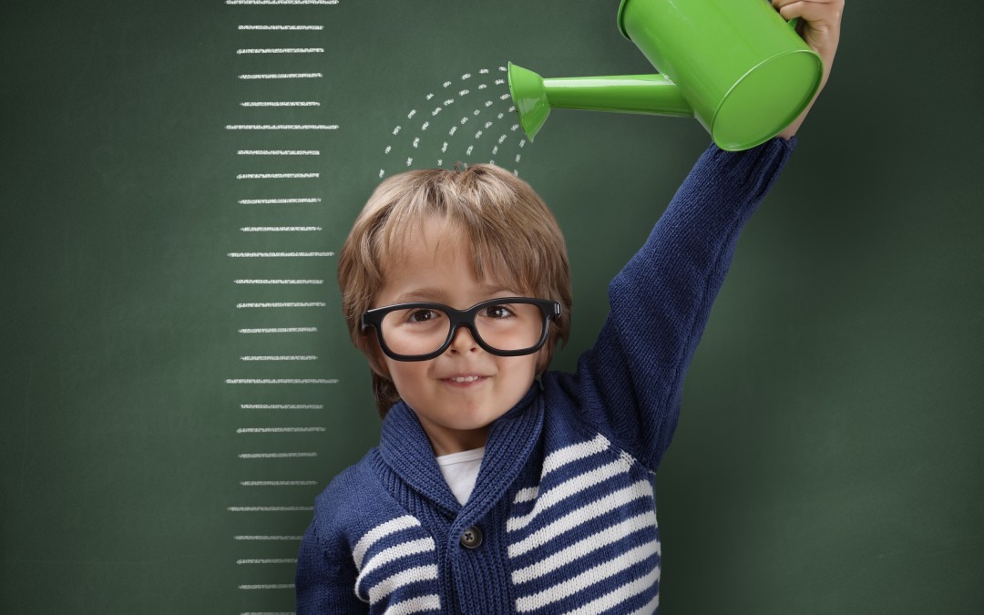 DaySchool 9.0 Basics
